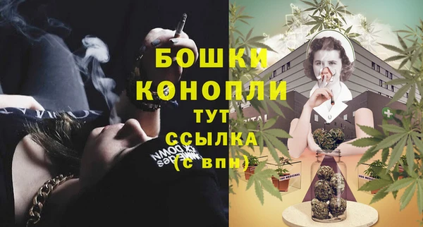 спайс Арсеньев
