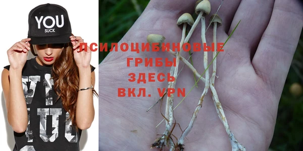 mix Алексин