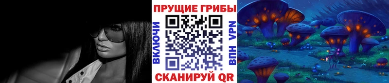 blacksprut tor  Казань  Псилоцибиновые грибы GOLDEN TEACHER 