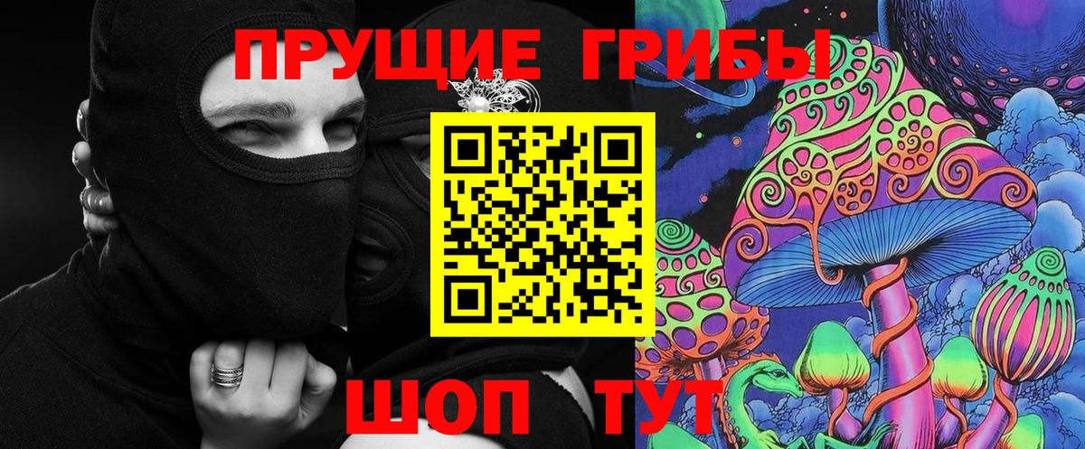 Псилоцибиновые грибы Psilocybine cubensis Казань